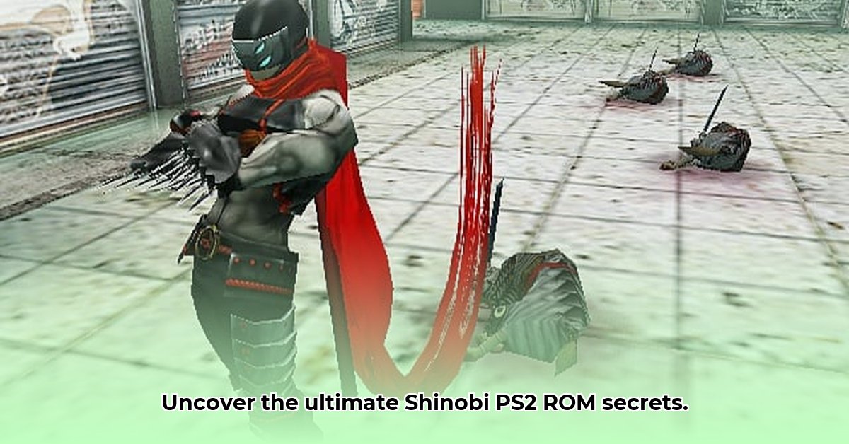 roms-ps2-shinobi